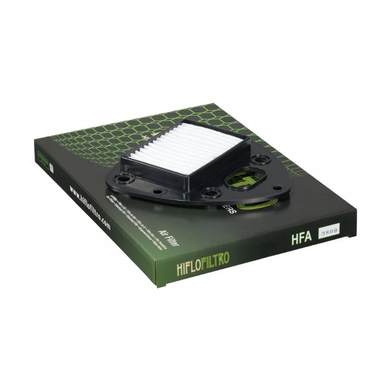 HIFLOFILTRO Vzduchový filter HFA3809